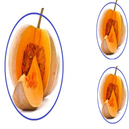 SBJEI-FRESH YELLOW PUMPKIN